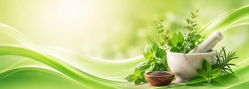 Prophetic foods and herbal wellness banner featuring fresh green herbs, natural seeds and traditional mortar and pestle on a calming green background with flowing waves and clean holistic health aesthetic.